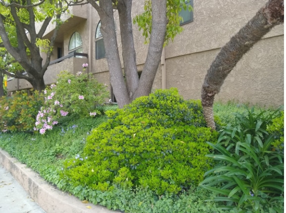 building gardens - 14572 Dickens St