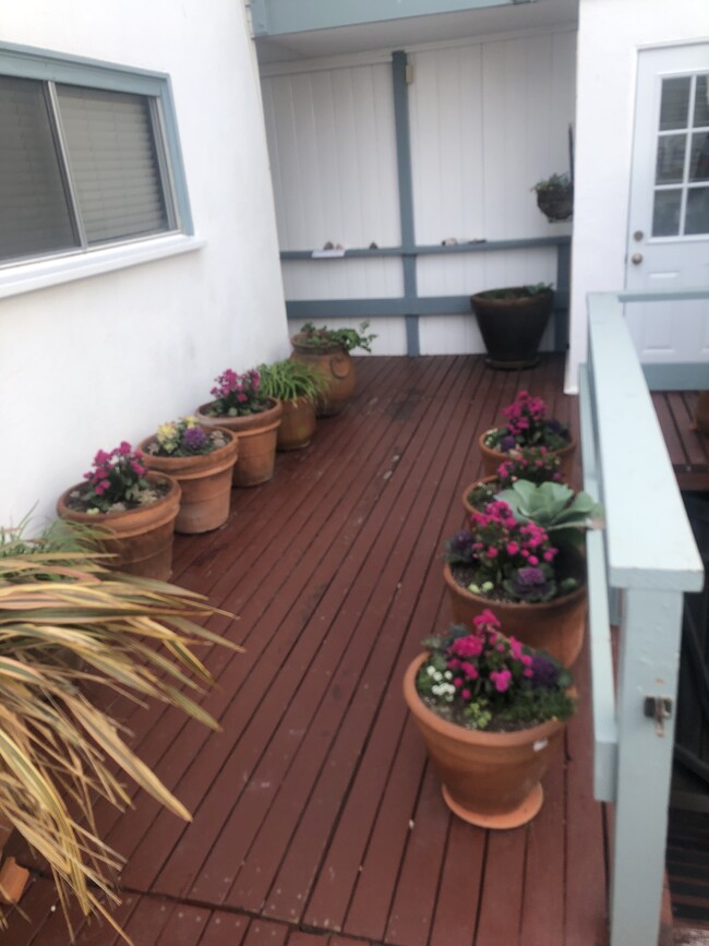 common area deck - 25414 Malibu Rd