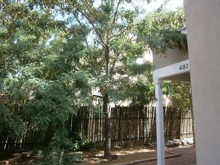 Foto del edificio - 4182 Walking Rain Rd