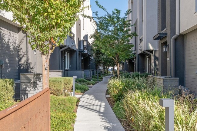 Building Photo - 3479 Client Cmn