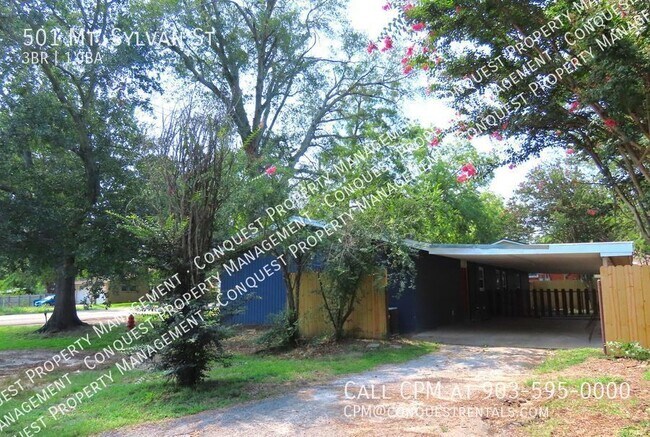 Foto del edificio - 501 Mt Sylvan St