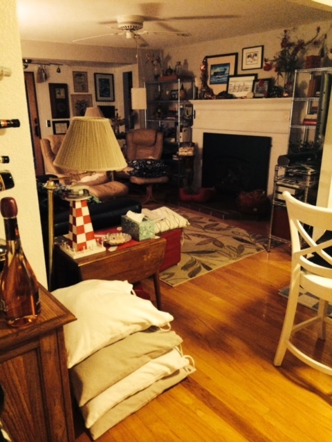 Living/family area - 4503 K Pl