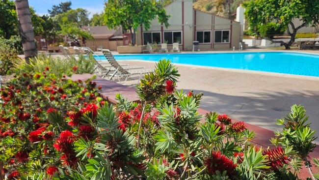 Building Photo - 5422 Adobe Falls Rd