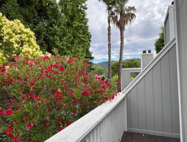 Photo - 5239 Riverdale Ct Townhome