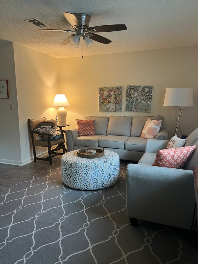 Den furniture and rug included - 117 Michael Dr Apartments