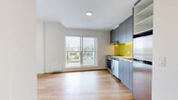 Located in Vancouver's vibrant Mount Pleasant neighbourhood, this one-bedroom, one-bathroom unit at 315 E 2nd Ave offers a thoughtfully designed layout with modern finishes throughout. Light hardwood flooring runs continuously across the entire unit, creating a warm and cohesive aesthetic.

The open-concept living and kitchen area is anchored by a large sliding glass door that frames elevated city views, allowing natural light to fill the space generously. The kitchen is well-appointed with sleek grey cabinetry extending to the ceiling, stainless steel appliances including a range, dishwasher, and refrigerator, and a bold yellow subway tile backsplash that adds a striking accent. A hallway connects the main living area to the private bedroom and bathroom.

The bedroom is a comfortable, bright room featuring a tall narrow window with views of the surrounding neighbourhood and a double closet with built-in hanging rails and shelving, providing ample storage.

The bathroom is finished with large-format white tiles, a grey vanity with a white countertop, and includes the added convenience of a stacked in-unit washer and dryer. Clean lines and a neutral palette are carried throughout, giving the entire unit a crisp, contemporary feel well-suited to modern urban living.