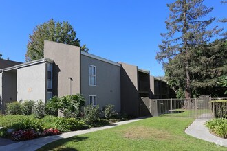 Building Photo - Vicino