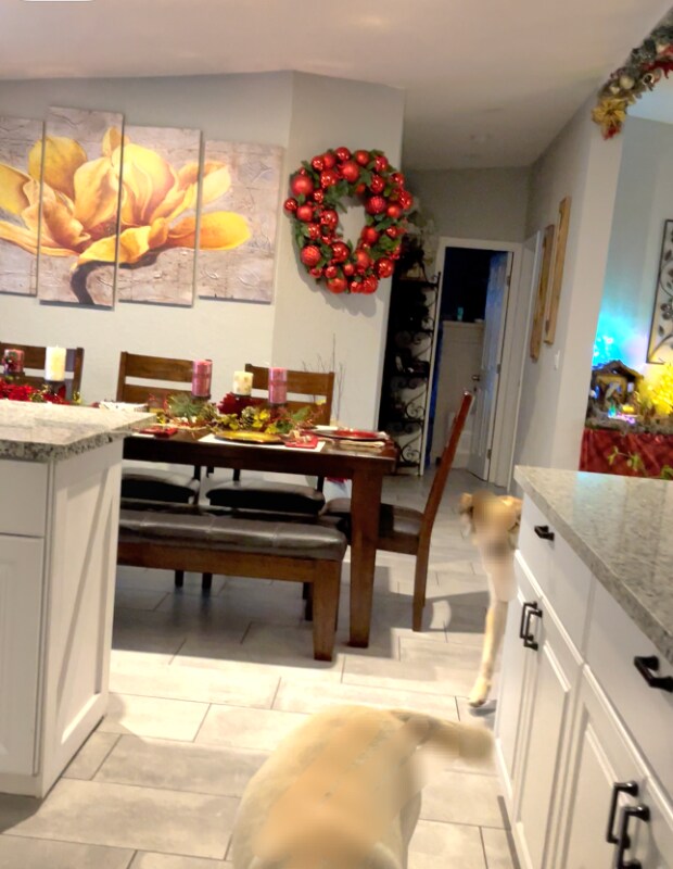 Building Photo - 393 W 4th Ave