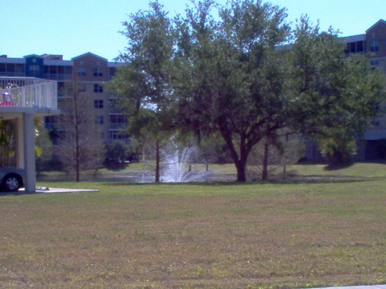 Foto principal - 960 Starkey Rd