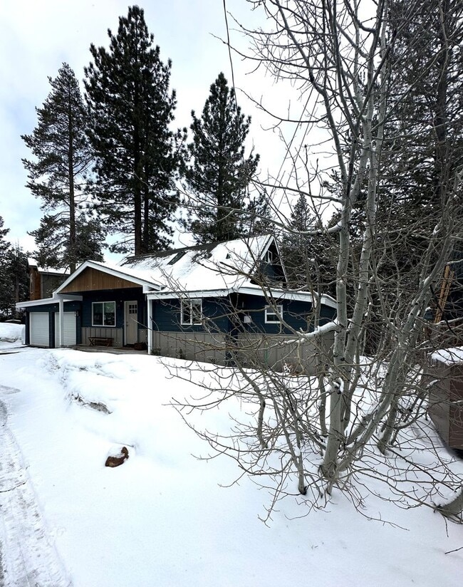 Building Photo - Remodeled Tahoe Home with 2 Car Garage in ...