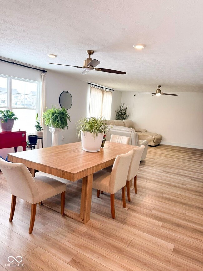 Foto del edificio - 439 Cape May Dr