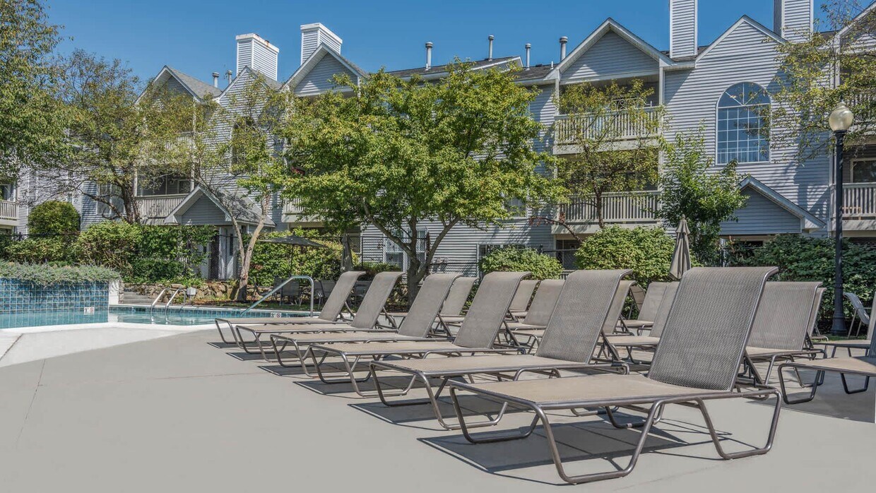 165 Centre St Unit 403, Quincy, MA 02169 Condo for Rent in Quincy, MA