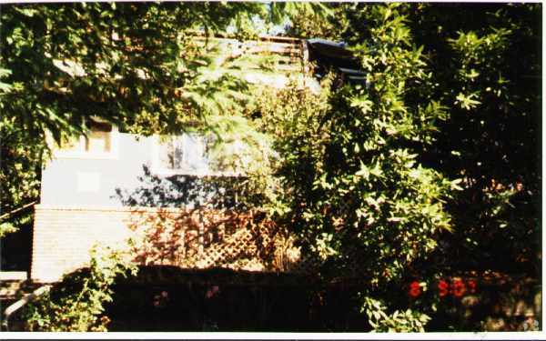 Primary Photo - 206 Bolinas Rd