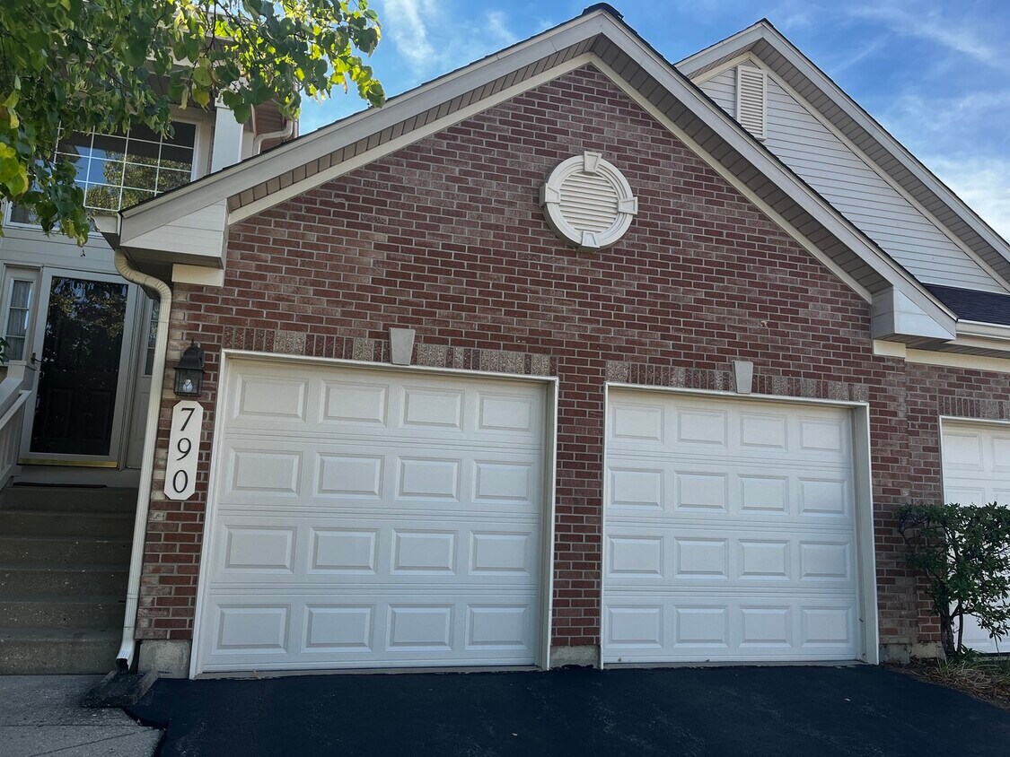 790 Stonewall Ct, Schaumburg, IL 60173 Townhome Rentals in Schaumburg