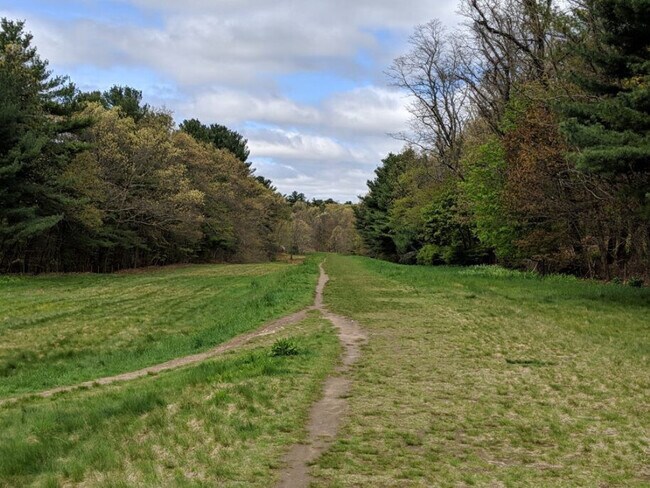 Foto del edificio - 253 Main St
