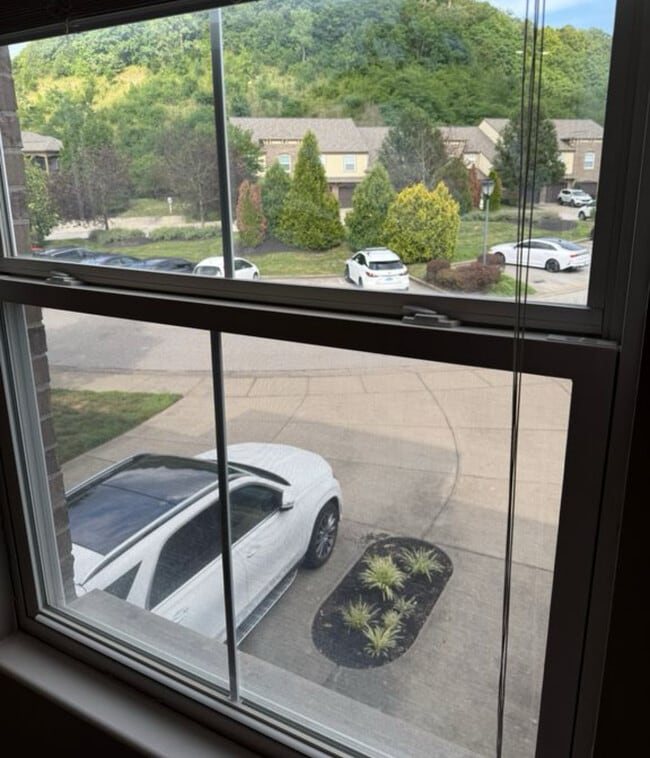 Foto del edificio - 2223 Rolling Hills Dr