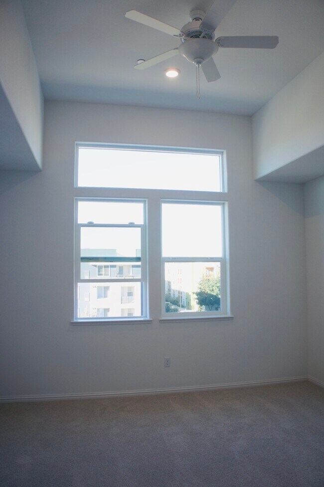 Master Bedroom with high ceiling-1 - 695 Blackbury Ln