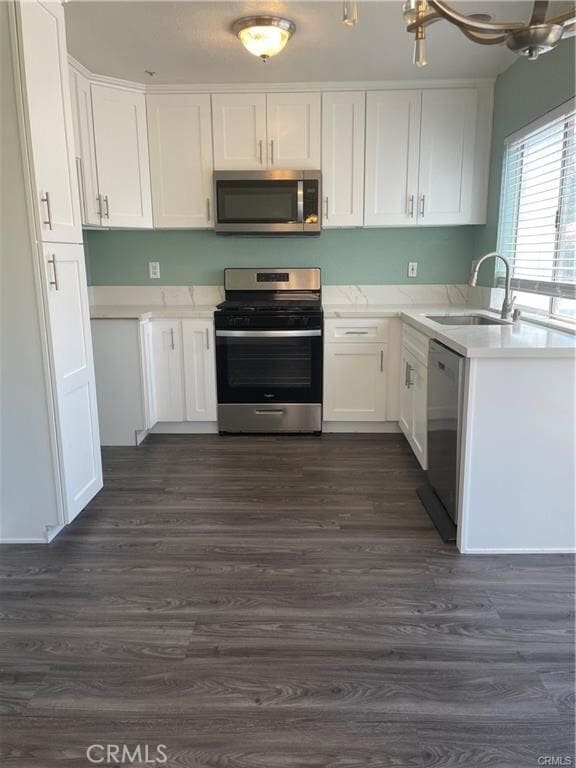 Foto del edificio - 11422 Citrus Glen Ln