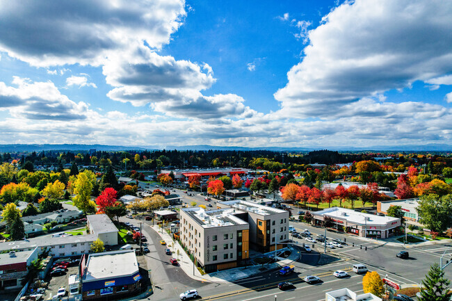 Aerial Photo - Cedar Grove Apartments