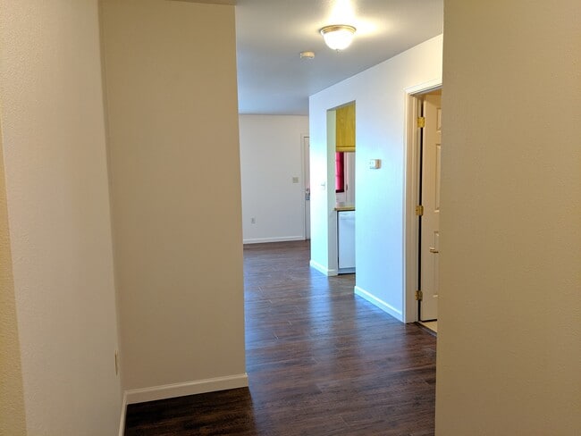 Entry to living room/kitchen - 1571 Kibler Ave