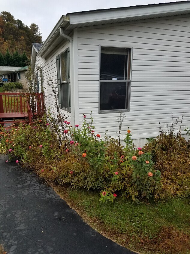 103 Old Jims Branch Rd, Swannanoa, NC 28778 House Rental in Swannanoa