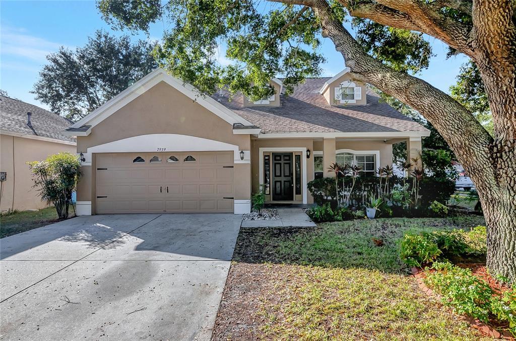 Primary Photo - 7939 Terrace Ridge Dr