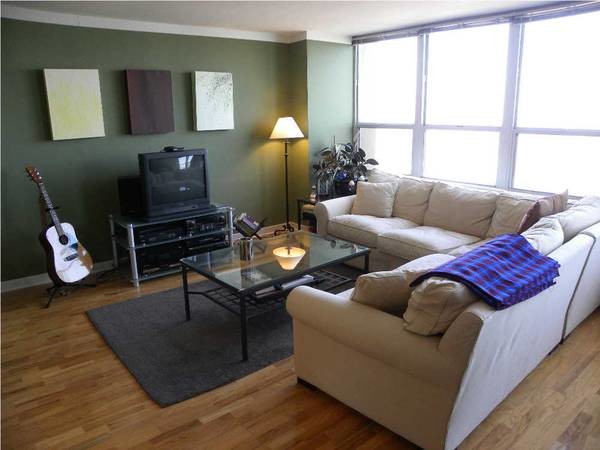 Living Area - 655 W Irving Park Rd