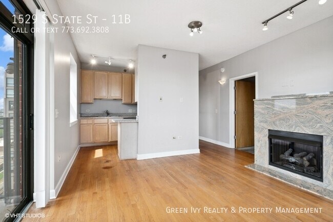 Building Photo - Amazing 2 bed/2 bath in the South Loop