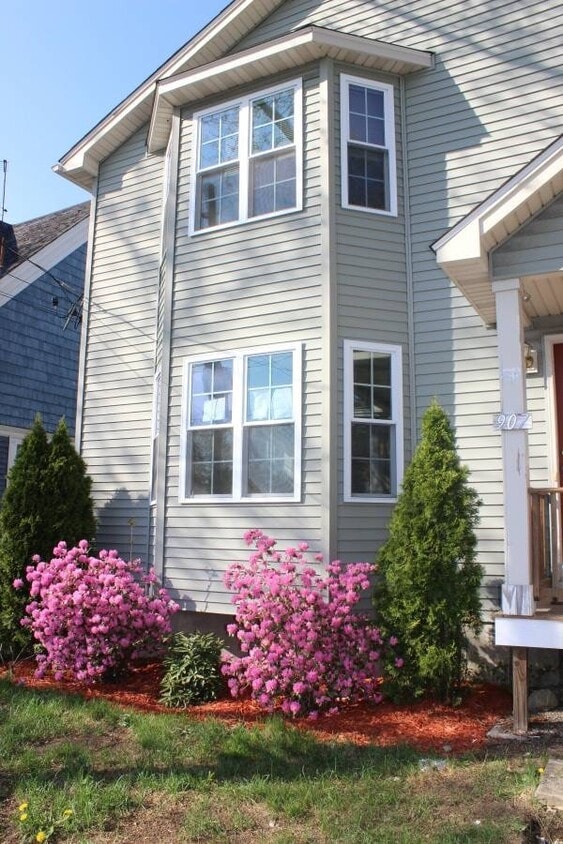 Primary Photo - 907 Smith St