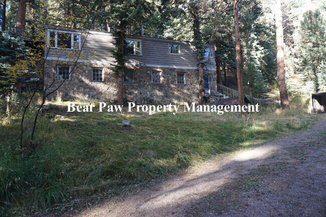 Building Photo - Rustic Stone Home on Witter Gulch!!