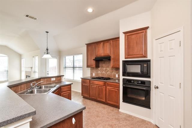 Foto del edificio - 2443 Falcon Point Dr