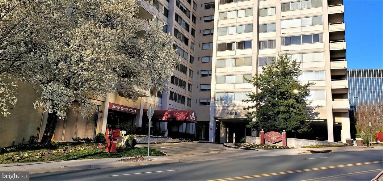 4515 Willard Ave Unit 507S, Chevy Chase, MD 20815 Room for Rent in