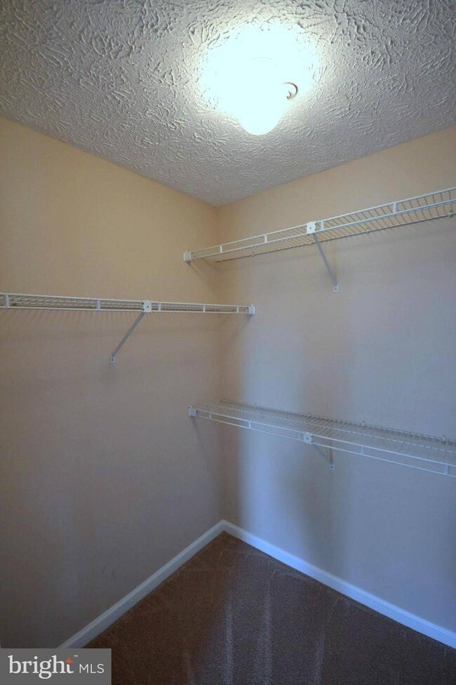 Building Photo - 2458 Apple Blossom Ln
