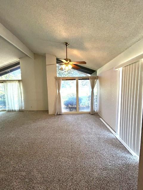 Foto del edificio - 1341 Seven Hills Dr