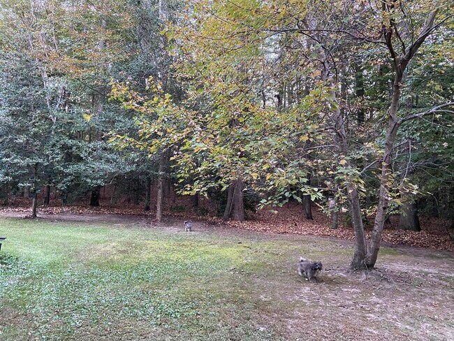Foto del edificio - 5465 Goodman Forest Ln