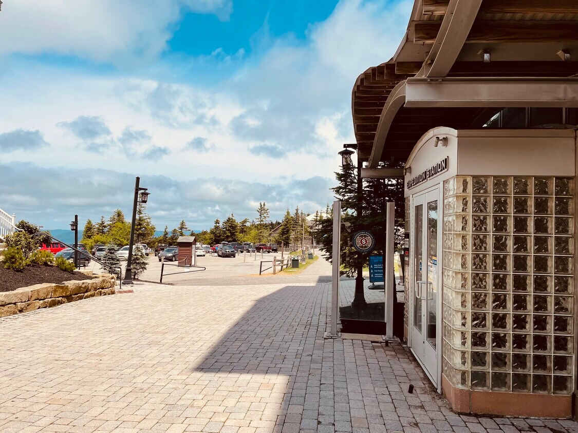 10 Snowshoe Dr, Snowshoe, WV 26209 Condo for Rent in Snowshoe, WV