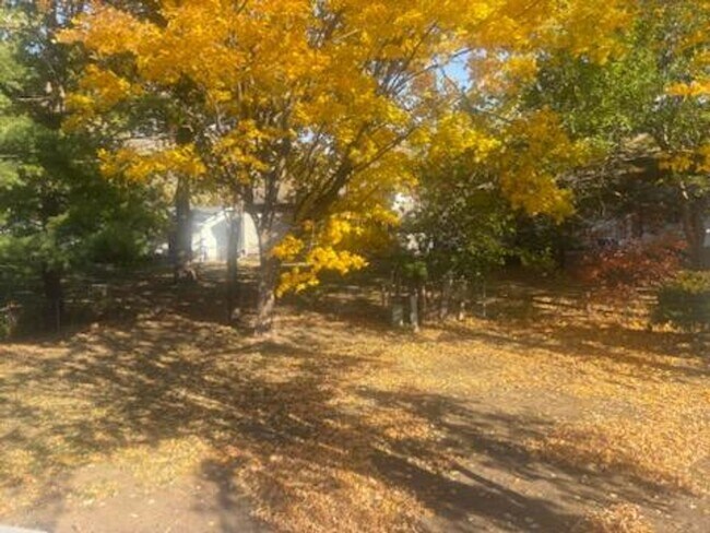 Foto del edificio - Split Level 4 Bedroom