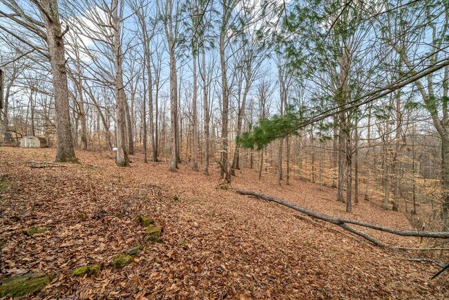 Foto del edificio - Lovely home on beautiful wooded corner lot