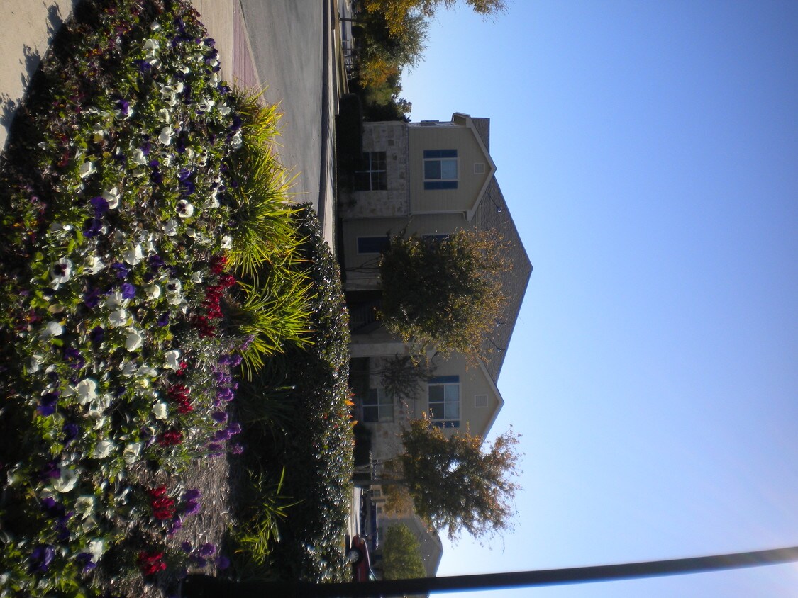 Babcock North Apartments in San Antonio, TX
