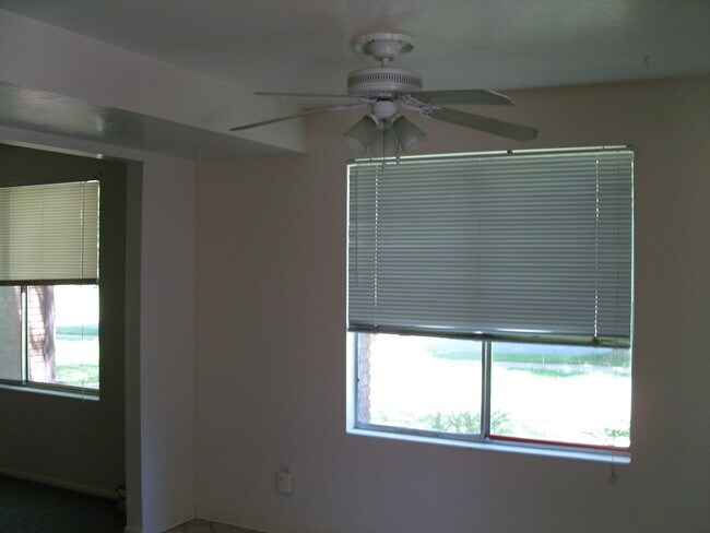 Building Photo - 203 N Pingree Ave