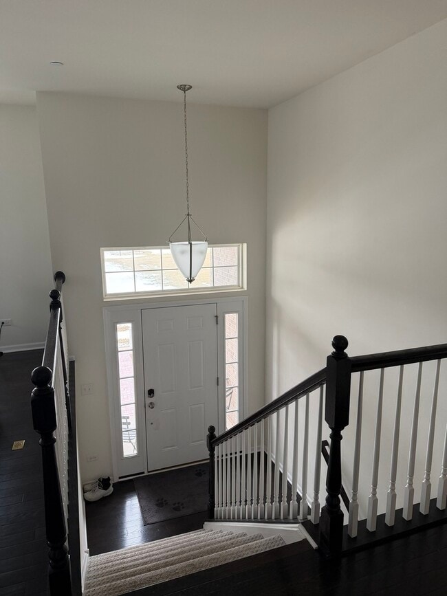 Building Photo - 4194 Royal Mews Cir