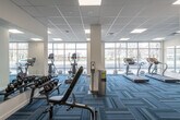 This single-floor fitness center is designed to provide a comprehensive workout environment in a clean, modern setting. The main exercise area is spacious and open, featuring a patterned blue carpet that adds a contemporary aesthetic throughout the space. Large floor-to-ceiling windows along one wall flood the room with abundant natural light and offer views of the surrounding exterior, creating an energizing atmosphere for exercise.

The cardio zone is well-appointed with multiple treadmills, elliptical trainers, and a stationary bike, all positioned to take advantage of the natural light and outward views. A dedicated strength training section houses a multi-functional cable machine system, along with a collection of kettlebells and dumbbells arranged on a rack alongside an adjustable weight bench. Full-length mirrors are strategically placed along the walls to enhance the sense of space and assist users with form during workouts. A sanitation station is conveniently positioned on the floor for hygiene purposes.

Toward the rear of the facility, a short corridor leads to clearly marked, ADA-accessible restrooms, finished with blue accent walls, wood-style flooring, and grab bars. The entire facility is illuminated by recessed panel lighting set within a drop-tile ceiling, ensuring consistent, well-distributed light throughout. The overall design is functional, clean, and purposeful.