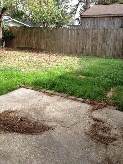 Backyard - 205 Timothy Dr