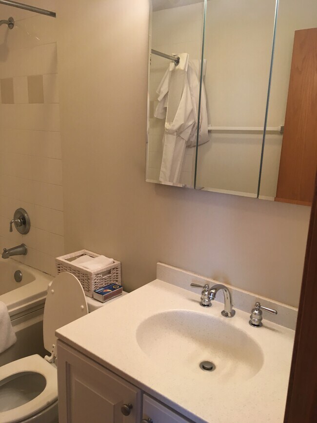 Bathroom 2 - 509 N Racine Ave