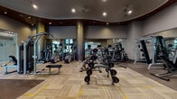 The fitness center at The Station at Newtown Square is a thoughtfully designed, single-level facility that provides residents with a comprehensive workout environment. The main exercise floor features a generous open layout finished with patterned, multi-tone carpeting and is equipped with an extensive selection of TAG free weights, dumbbell racks, weight benches, and strength machines. Large mirrors line the walls, visually expanding the space and allowing users to monitor their form throughout their workout. Ceiling fans and recessed lighting maintain a comfortable atmosphere, while a curved, dark wood accent ceiling detail adds an upscale architectural touch. Decorative columns with vertical gold-toned accents contribute to the refined aesthetic of the space.

A dedicated functional training area features rubberized flooring, a cable cross machine, kettlebells, medicine balls, and stability equipment. Adjacent to this zone, a glass-enclosed studio offers a bright, airy setting with light hardwood floors, full-length mirrors, a wall-mounted television, and exercise balls — ideal for group fitness or individual training. A separate room with hardwood flooring and floor-to-ceiling windows houses cycling bikes, filling the space with natural light and outdoor views of surrounding greenery.