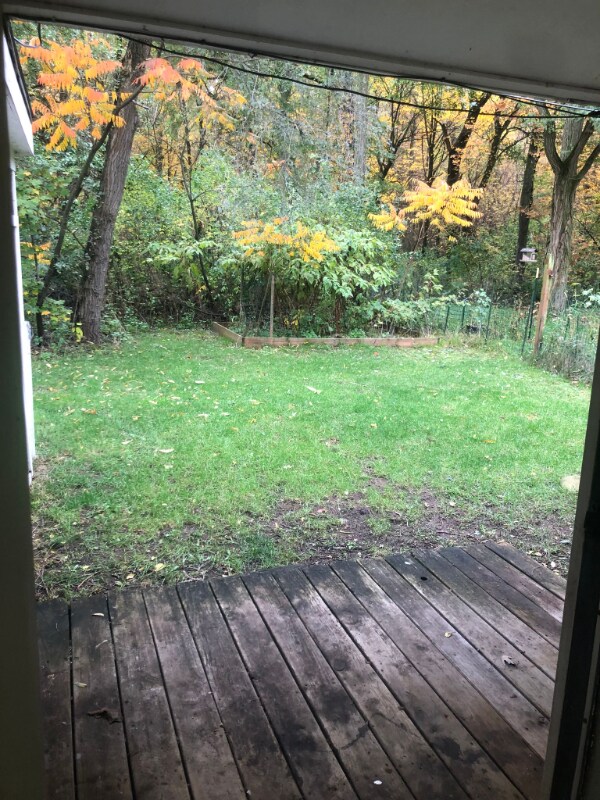 Foto del edificio - 9527 W Main St