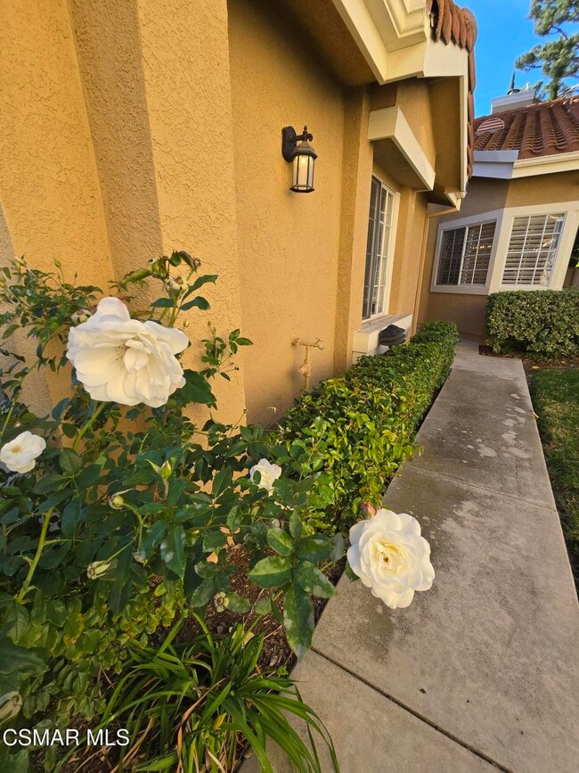 Building Photo - 491 Novara Way