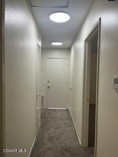 Foto del edificio - 2841 Thicket Pl