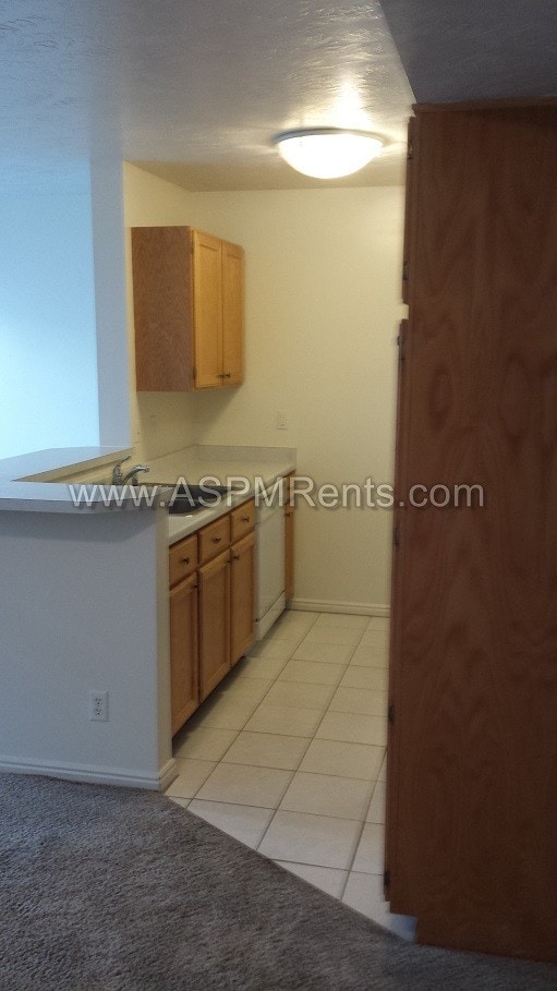 Building Photo - 8812 S Wollemi Pine Way