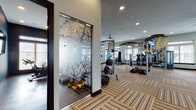 Located at 1412 E Mockingbird Lane in Midland, Texas, this single-floor fitness center is a comprehensively outfitted facility designed to support a full range of workout routines. The space is organized into distinct functional zones, each tailored to specific training needs.

The cardio area features a row of treadmills, elliptical trainers, and stair climbers aligned along large windows with slatted blinds, allowing ample natural light to fill the room while offering views of the surrounding community. Wall-mounted flat-screen televisions are positioned throughout for entertainment during workouts.

The strength training section is generously stocked with free weights, barbells, weight benches, and a multi-station cable machine system. A TRX suspension training rig provides functional fitness options, while a heavy punching bag adds versatility. Full-length mirrors line portions of the walls, enhancing spatial openness and allowing users to monitor their form.

A separate enclosed room — distinguished by a dramatic artistic etched-glass partition featuring a branch motif — serves as a dedicated stretching and accessory training area, housing dumbbells, exercise mats, and stability balls in multiple sizes.

Throughout the facility, striped modular carpet tiles cover the floors, and large ceiling fans complement the recessed lighting to maintain comfort. Dark-framed doors and trim provide a polished, modern aesthetic. The entryway corridor offers convenient access to the main floor with a clean, organized layout.